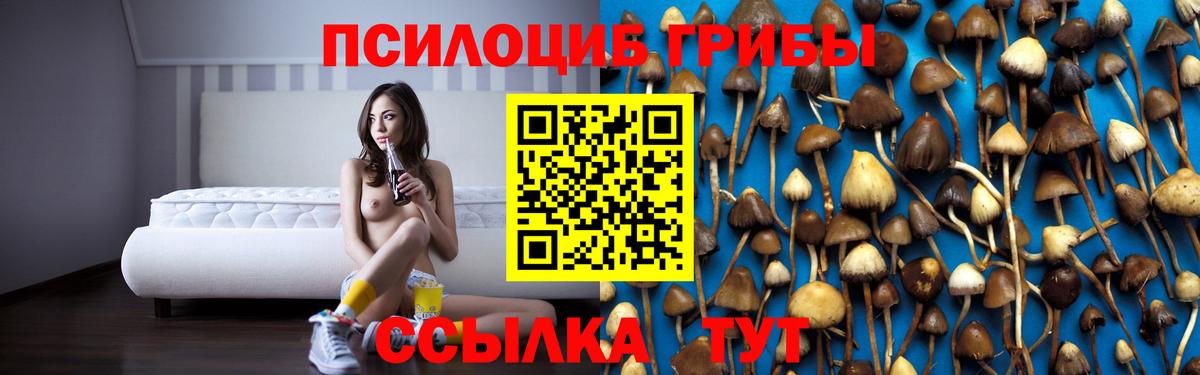 Псилоцибиновые грибы мухоморы Сургут