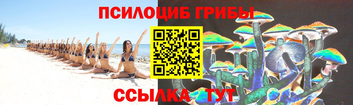 Сургут  Псилоцибиновые грибы Cubensis  Вход с VPN  Псилоцибиновые грибы прущие грибы 
